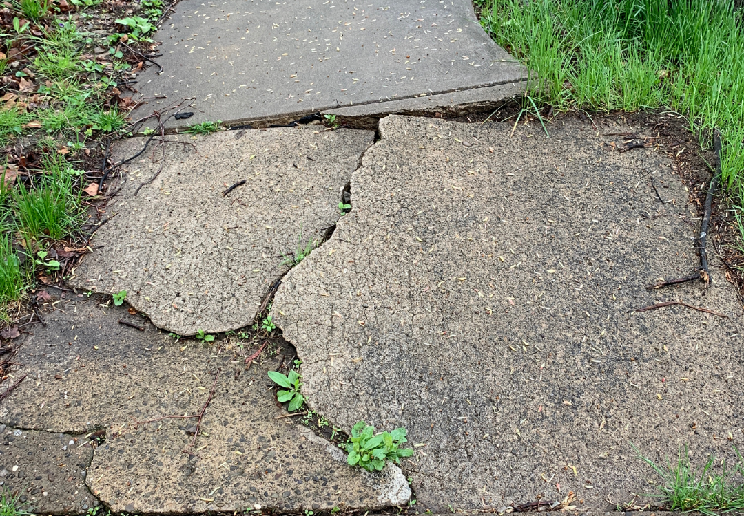 Guide to Sidewalk Repair in Oakland