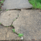 Trip Hazard Removal Methods: Complete Guide to Eliminating Sidewalk Dangers